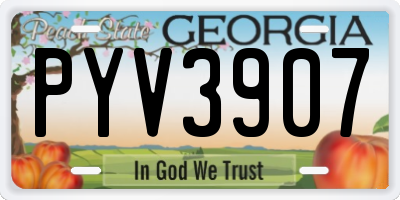 GA license plate PYV3907