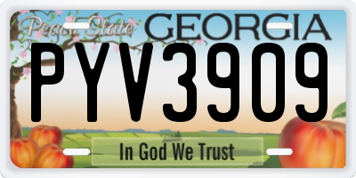 GA license plate PYV3909