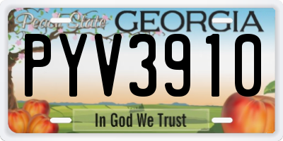 GA license plate PYV3910