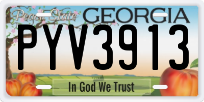 GA license plate PYV3913