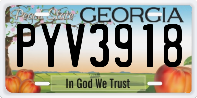 GA license plate PYV3918