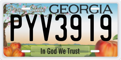 GA license plate PYV3919