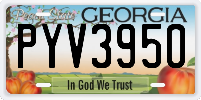 GA license plate PYV3950
