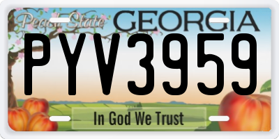 GA license plate PYV3959