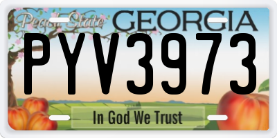 GA license plate PYV3973
