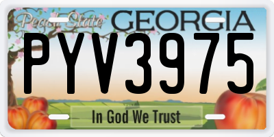 GA license plate PYV3975