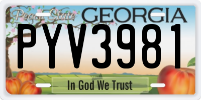 GA license plate PYV3981