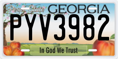 GA license plate PYV3982