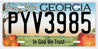 GA license plate PYV3985