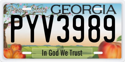 GA license plate PYV3989