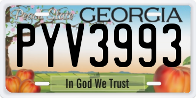 GA license plate PYV3993