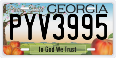 GA license plate PYV3995