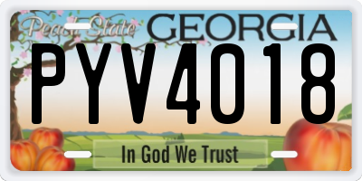 GA license plate PYV4018