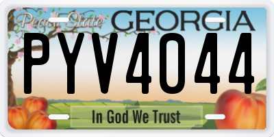 GA license plate PYV4044