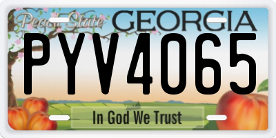 GA license plate PYV4065