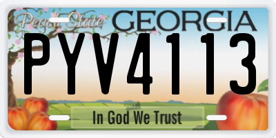 GA license plate PYV4113