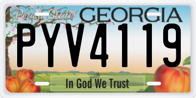 GA license plate PYV4119