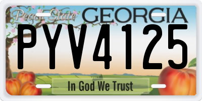 GA license plate PYV4125