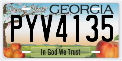 GA license plate PYV4135