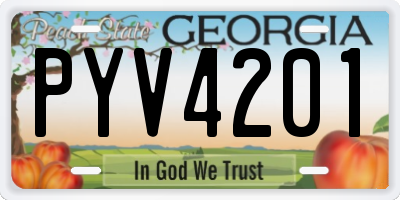 GA license plate PYV4201