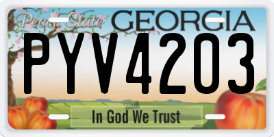 GA license plate PYV4203
