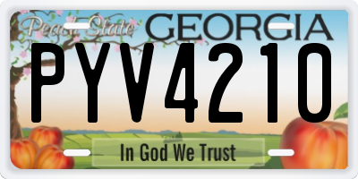 GA license plate PYV4210