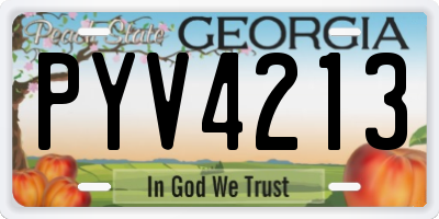 GA license plate PYV4213