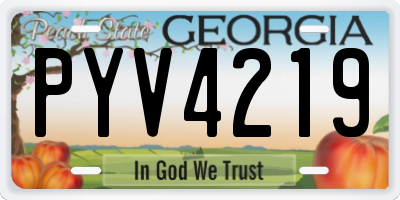 GA license plate PYV4219