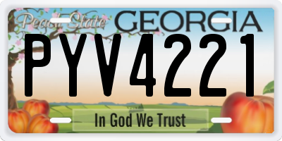 GA license plate PYV4221