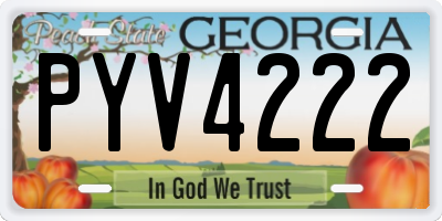 GA license plate PYV4222