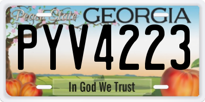 GA license plate PYV4223