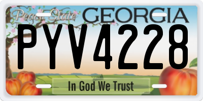 GA license plate PYV4228
