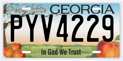 GA license plate PYV4229