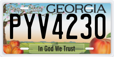 GA license plate PYV4230