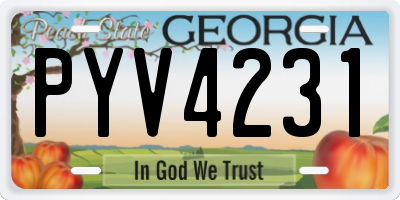 GA license plate PYV4231