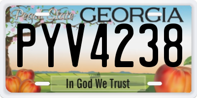 GA license plate PYV4238