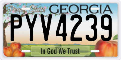 GA license plate PYV4239