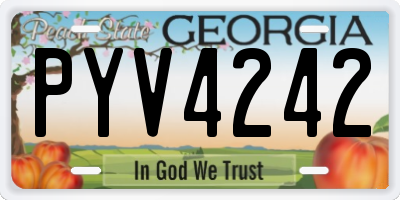 GA license plate PYV4242