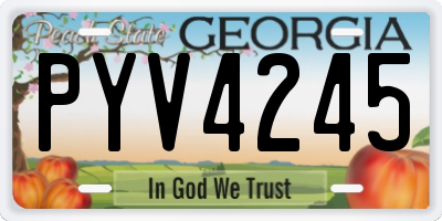 GA license plate PYV4245