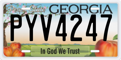 GA license plate PYV4247