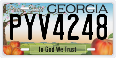 GA license plate PYV4248
