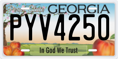 GA license plate PYV4250
