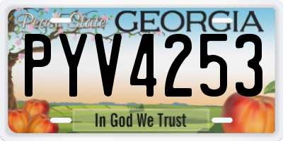 GA license plate PYV4253