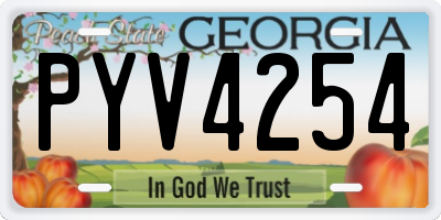 GA license plate PYV4254
