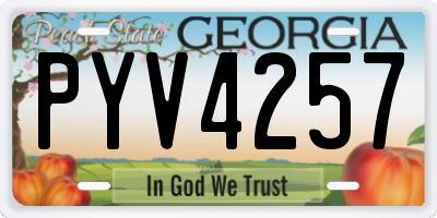 GA license plate PYV4257