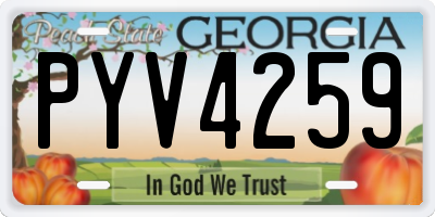 GA license plate PYV4259