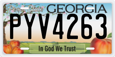 GA license plate PYV4263