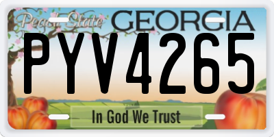 GA license plate PYV4265