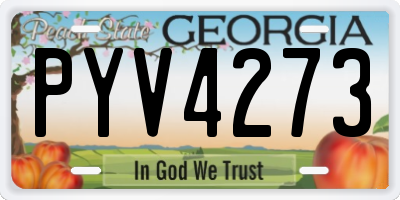 GA license plate PYV4273