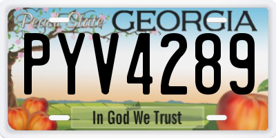 GA license plate PYV4289